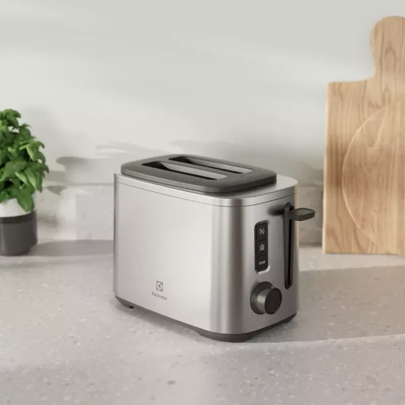 Skrudintuvas Electrolux 910003704 E5T1-4ST 2 griežinėliai 800 W Nerūdijantis plienas