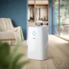 Philips 3000 serijos DE3306/11 drėgmės šalintuvas 4 l 51 dB Baltas, šviesiai pilkas