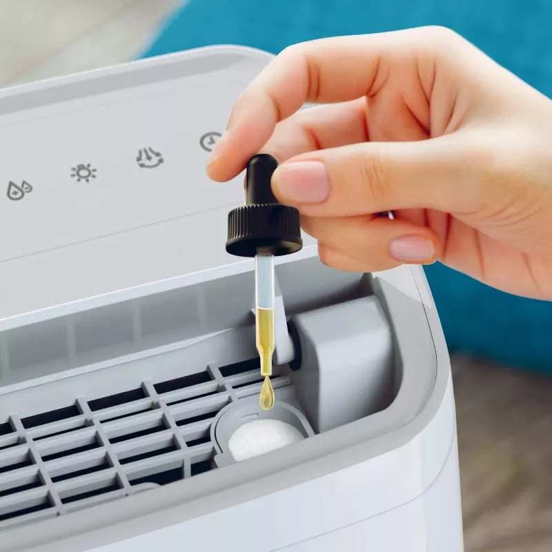 Philips 3000 serijos DE3306/11 drėgmės šalintuvas 4 l 51 dB Baltas, šviesiai pilkas