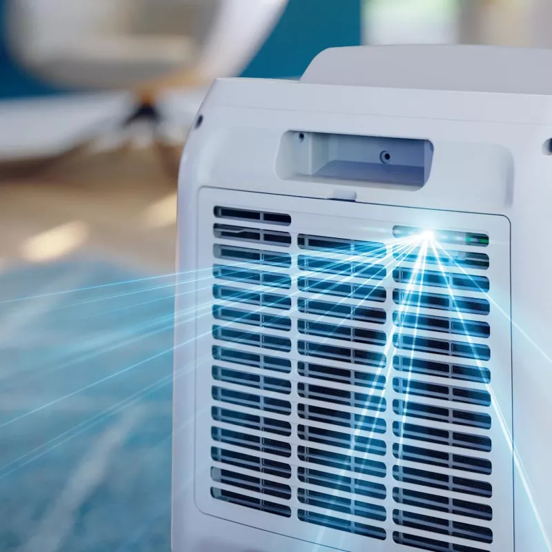 Philips 3000 serijos DE3306/11 drėgmės šalintuvas 4 l 51 dB Baltas, šviesiai pilkas
