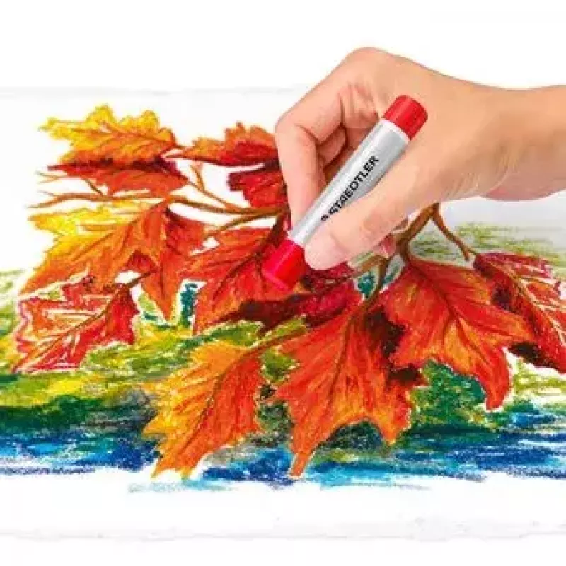 Aliejinės pastelės Staedtler 2420 įvairiaspalvės 24 vnt.