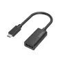 Hama 00200314 vaizdo kabelio adapteris USB Type-C į DisplayPort juodas