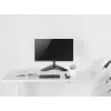 Equip 13 inch-32 inch reguliuojamas monitoriaus stovas ant stalo