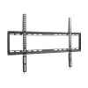 Equip 650333 fiksuotas TV laikiklis sienai 37–75 col.