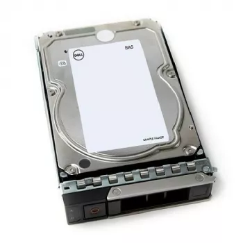 DELL 161-BCJX vidinis kietasis diskas 12 TB 7200 RPM 3.5 colio NL-SAS