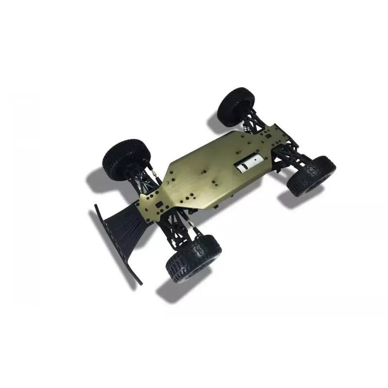 Visureigis automobilis Amewi Dune radijo valdymo modelis 1:10