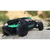 Visureigis automobilis Amewi Dune radijo valdymo modelis 1:10