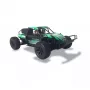 Visureigis automobilis Amewi Dune radijo valdymo modelis 1:10