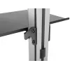 Equip grindinis-lubinis TV laikiklis 37-70 colių, maks. 30 kg