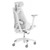 Žaidimų kėdė Asus ROG Destrier Ergo Core White – tinklinė sėdynė, max 136 kg