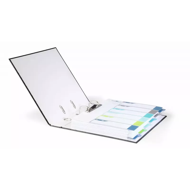 Durable 679427 tuščias skirtukas 30,5x24,5 cm polipropilenas įvairiaspalvis