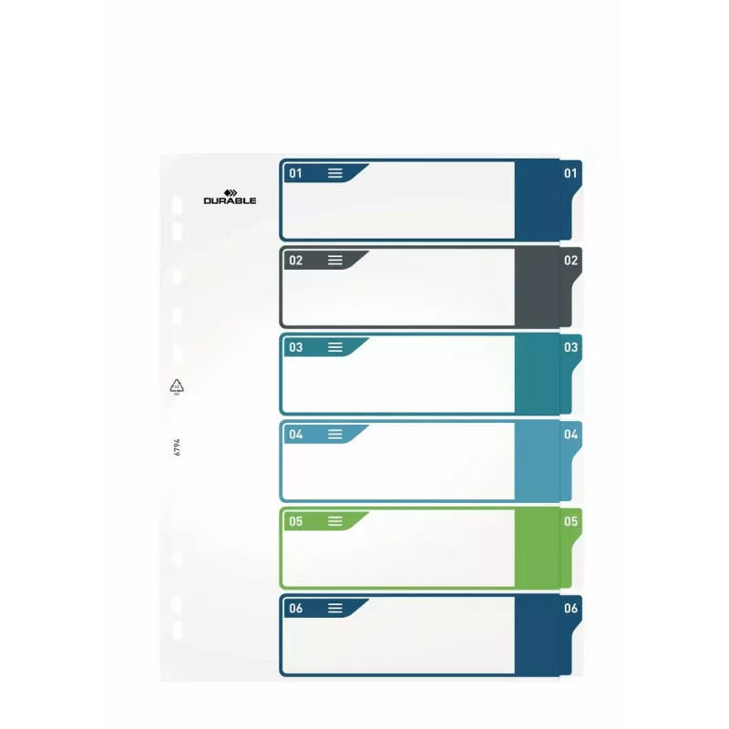 Durable 679427 tuščias skirtukas 30,5x24,5 cm polipropilenas įvairiaspalvis