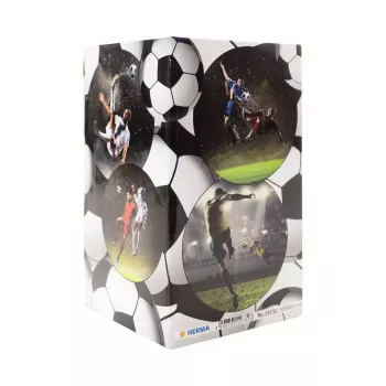 Pieštukinė / rašiklinė HERMA Stifteköcher Fussball 19732 – futbolo kamuolio formos