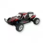 Radijo bangomis valdomas buggy Amewi Breaker 1:10