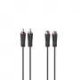 Hama 00205095 garso kabelis 5 m 2 x RCA juodas