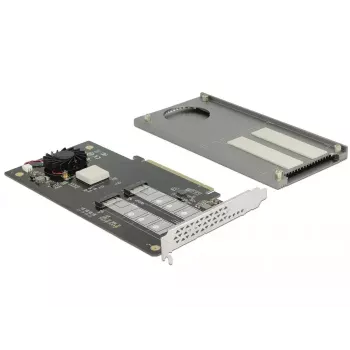 DeLOCK 89961 PCIe lustinė plokštė su dviem M.2 lizdais NVMe/SATA SSD