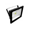 Eurolite FL-50 Black LED UV prožektorius IP65 120°