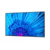 NEC MultiSync M491 Skaitmeninių ženklų plokščiasis ekranas 124.5 cm (49 colių) IPS 500 cd/m² 4K Ultra HD Juodas 24/7