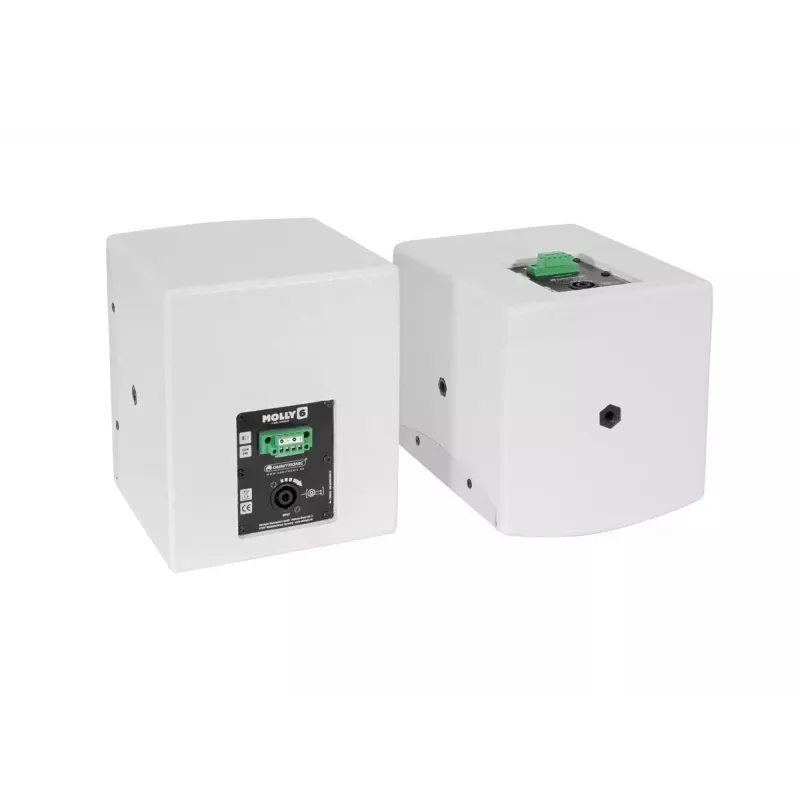 Pilno diapazono garsiakalbis Omnitronic MOLLY-6 Baltas Laidinis 130 W