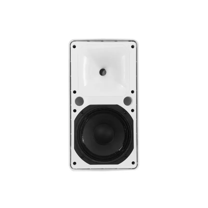 2 krypčių garsiakalbis Omnitronic 11036959 150 W