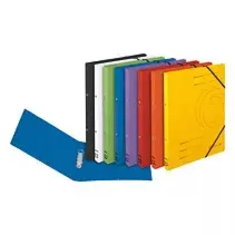 Kartoninis aplankas Violetinis A4 Herlitz 11255452