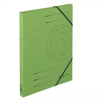 Kartoninis aplankas Herlitz 11255445 žalias A4