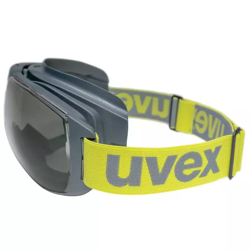 Apsauginiai akiniai Uvex 9320281 Antracitas Liepžiedžiai