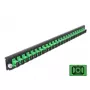Priekinis skydelis Splice Box DeLOCK 19 colių 24 prievadai SC Simplex žalias
