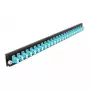 Delock 19 colių priekinis skydelis su 24 LC Duplex prievadais, aqua