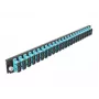 Patch panel DeLOCK 43366 SC 1U 19 inch