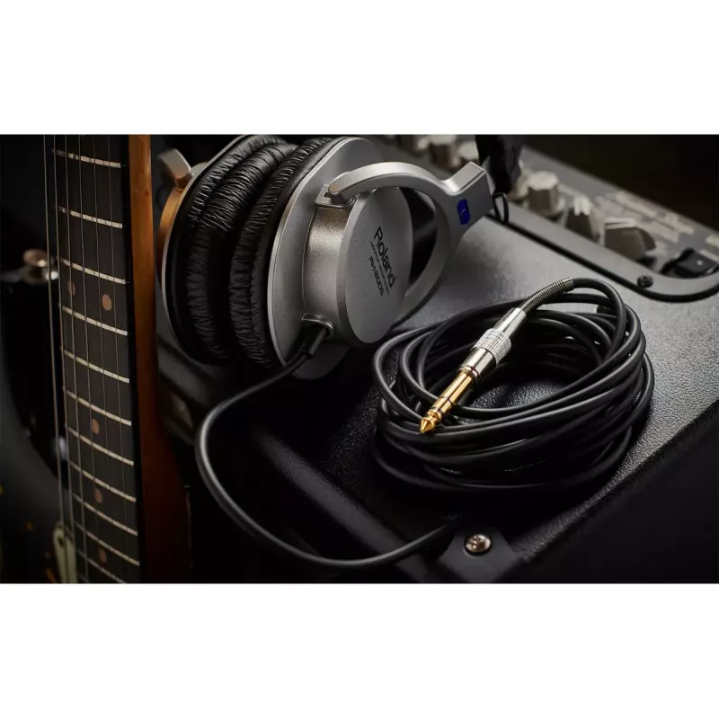 Ausinės Roland RH-200S laidinės juodos sidabrinės 20-20000 Hz