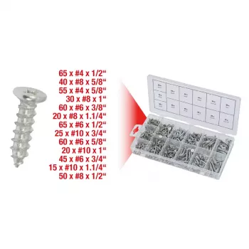 Varžtų ir sraigtų rinkinys KS Tools 970.0430