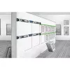 Lazerinis gulsčiukas Laserliner DigiLevel Laser G80