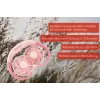 Unold Neck Fan Breezy Pink – nešiojamas kaklo ventiliatorius, rožinis, 2 ventiliatoriai, 8 h veikimo laikas, baltas, 1 vnt.