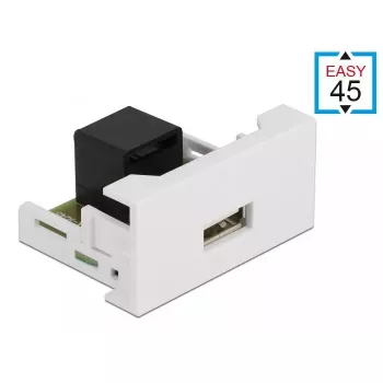 Modulis USB 2.0 Type-A lizdas į RJ45 lizdą DeLOCK Easy 45 81344
