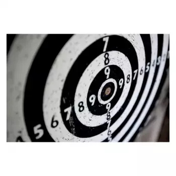 Taikinio lipdukai Avery 3521 – šaudymo sportui, 19 mm, 1000 vnt.