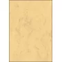 Meno popieriaus lapai Sigel DP553 50 lapų smėlio spalvos 200 g/m²