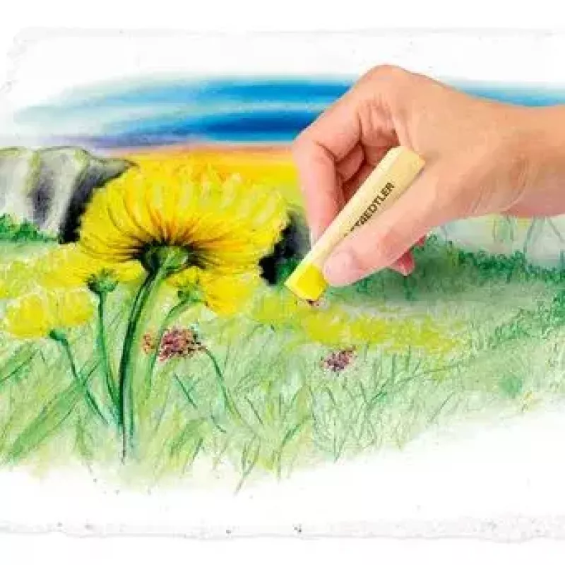 Sausos pastelinės kreidelės Staedtler 2430 Minkštos įvairiaspalvės 24 vnt.