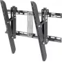 TV laikiklis SpeaKa Professional SP-3957092 160 cm (63 coliai) Juodas