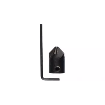 Grafinis įrankis Bosch 2608585740
