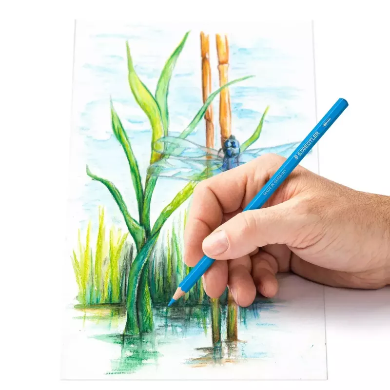Staedtler 146 10C akvareliniai pieštukai 12 vnt., metalinė dėžutė