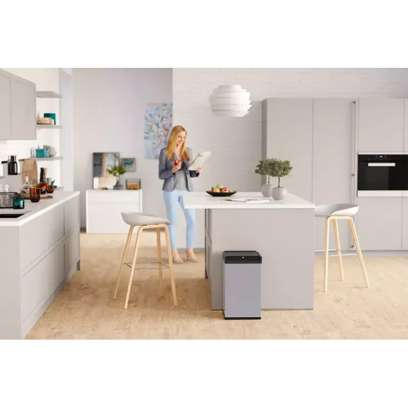 Hailo Big-Box Swing L stačiakampė plieninė šiukšliadėžė sidabrinė