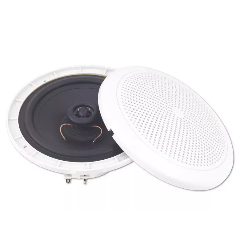Belaidis garsiakalbis Omnitronic 80710865 baltas 25 W
