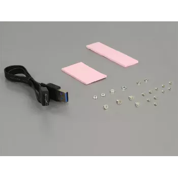 Delock 62731 2,5" konverteris iš USB 3.1 Micro-B lizdo į M.2 / mSATA su korpusu