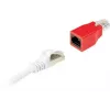 RJ-45 jungtis Schwaiger CKR01 531 raudona