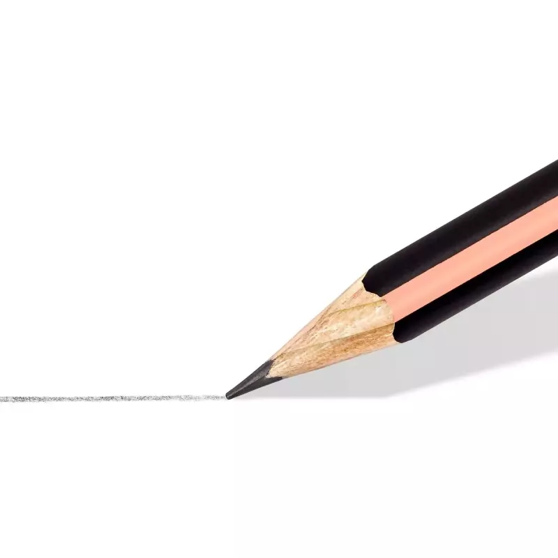 Piešimo rinkinys Staedtler Noris 4 vnt.