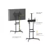 TV vežimėlis EQUIP 37–70 col. Economy, 70 kg, VESA 100x100–600x400, aukštis 1337–1430 mm, pakreipimas -10°–5°, juodas
