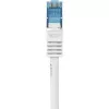 Tinklo kabelis Renkforce RF-3829272 20m Cat6a S/FTP