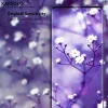 Apsauginis stiklas Kapsolo iPhone 13 / iPhone 14 Max — užapvalintas 9H, tinka iki 15,5 cm (6,1 colio)