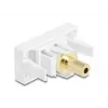 Kištukinis lizdas DeLOCK 90843 2 x 3,5 mm garso jungtis balta